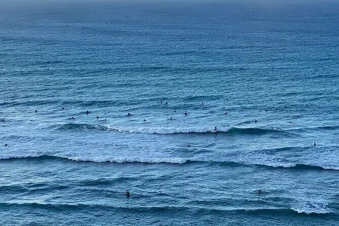 Private Island Tours and Charters through the Island of Oahu - The Sum Up