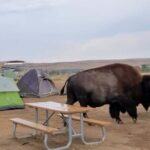 Private - JEEP Badlands Backcountry (Sage Creek/Sheep Mtn/Scenic) - Why This Tour Works Well