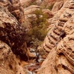 Private Jeep Ride to Explore Slot Canyons and Rock Formations - The Slot Canyon Experience: An Up-Close Look