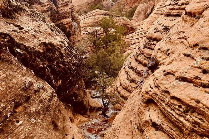 Private Jeep Ride to Explore Slot Canyons and Rock Formations - The Slot Canyon Experience: An Up-Close Look