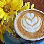 Private Jeep Tours Vegas Sign, Fremont Street,Red Rock Sign Lunch - Who Should Consider This Tour?