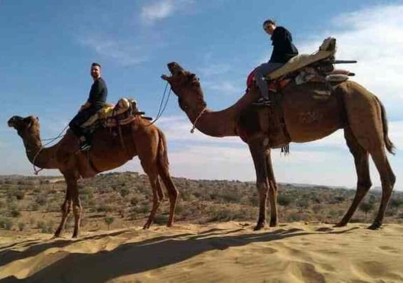 Private Jodhpur City Sightseeing Tour With Camel Safari - Practical Details: What You Need to Know