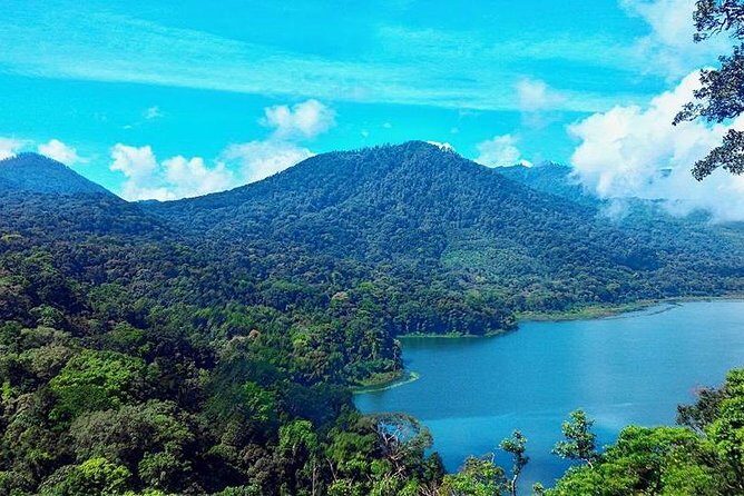 Private Jungle Trekking Tour with Tamblingan Lake Canoeing - A Closer Look at the Bali Jungle Trek and Lake Canoeing Experience