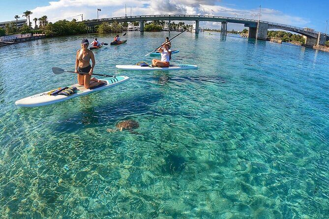 Private Jupiter Island Guided Paddle Boarding Tour - What Makes This Tour a Good Value?