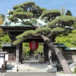 Private Kamakura Enoshima Tour from Tokyo w/ pickup & local guide - A Deep Dive into the Kamakura Enoshima Private Tour