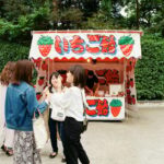 Private Kamakura & Yokohama Tour- English Speaking Chauffeur - Who Will Love This Tour?