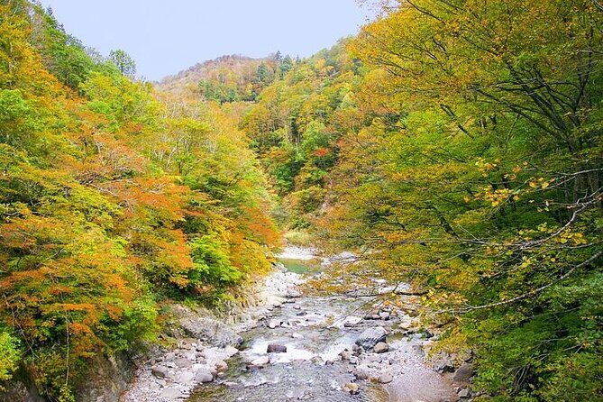 Private Karuizawa, Nagano Tour - Bilingual Chauffeur - Practical Details and Tips