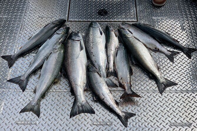 Private Ketchikan Wild Alaskan Salmon Fishing Trip - Who Is This Tour Best For?