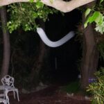 PRIVATE Key West Haunted History Walking Tour - Final Thoughts