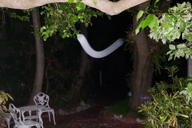 PRIVATE Key West Haunted History Walking Tour - Final Thoughts