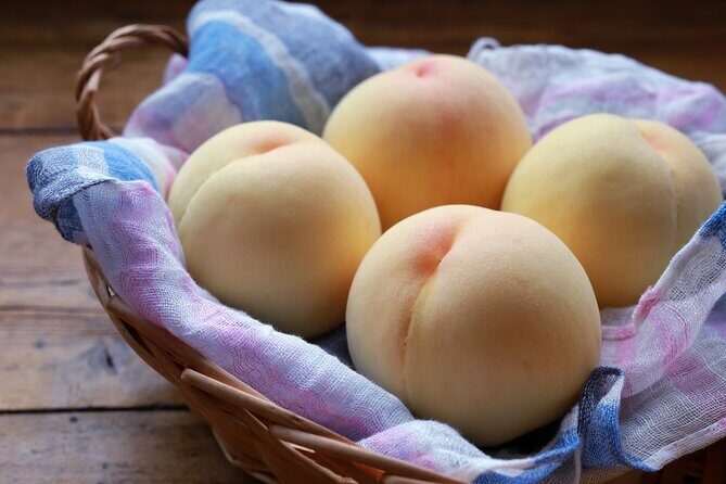 Private KIBI Cycling + Local Ramen Tour with a licensed guide - Who Will Love This Tour?