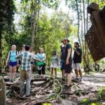 Private Kulen Mountain and Beng Mealea Temple Tour - The Sum Up