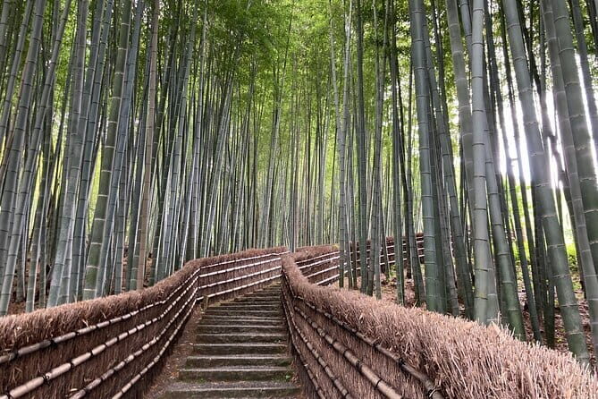 Private Kyoto with Exceptional Guide Tailored to Your Needs - Final Thoughts