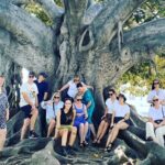 Private Large Group Full Day Tour in Los Angeles - Who Will Benefit Most from This Tour?