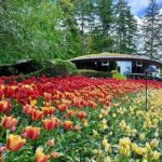 Private Large Group Tour! Butchart Gardens and Victoria City BC - Final Thoughts: Is This Tour Worth It?