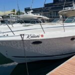 Private Luxury 45' Bay Cruiser Tour in San Diego: Suitable for Any Events - What to Expect When Booking