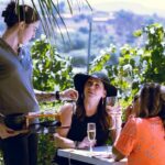 Private Luxury Transportation Experience - Sonoma - Exploring Sonoma in Style: The Full Experience