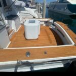 Private Luxury Whale Watching Tour in San Diego - In-Depth Review: What to Expect on the Water