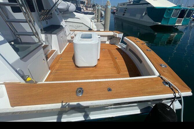 Private Luxury Whale Watching Tour in San Diego - In-Depth Review: What to Expect on the Water