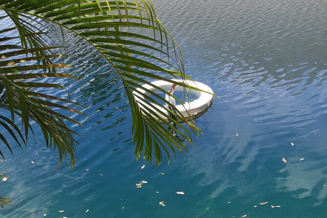 Private Magic City Tour with Transfers Experience - Who Is This Tour Best For?