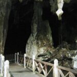 Private Mangrove Tour 2 Hour (max 8 People) - Who Will Love This Tour?