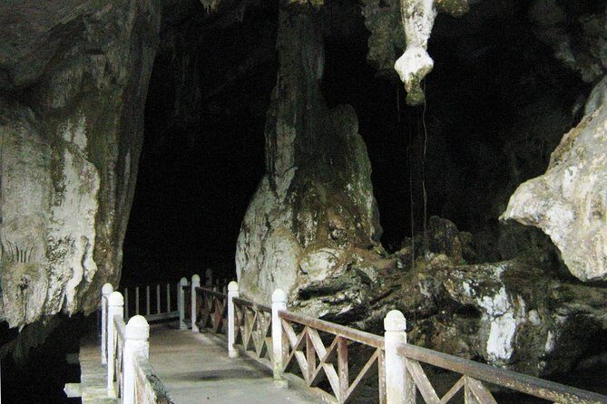 Private Mangrove Tour 2 Hour (max 8 People) - Who Will Love This Tour?