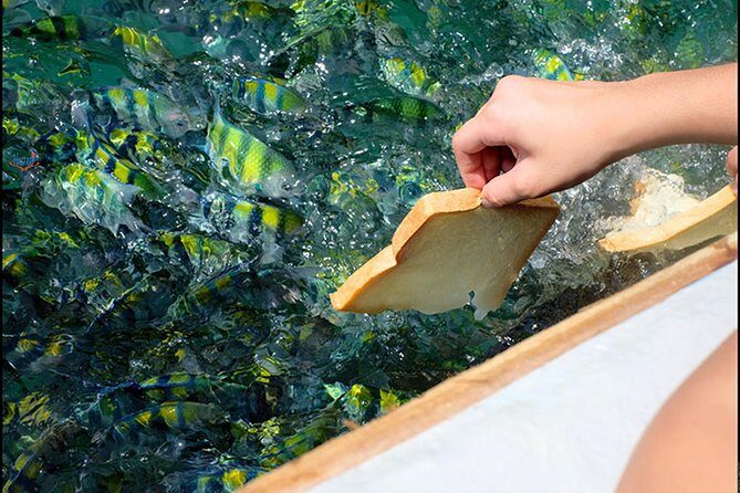 Private Mangrove Tour 3 Hour (max 8 People) - Final Thoughts