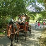 Private Mekong Delta (My Tho - Ben Tre) Full Day by Air-conditioned Car - In-Depth Review of the Experience