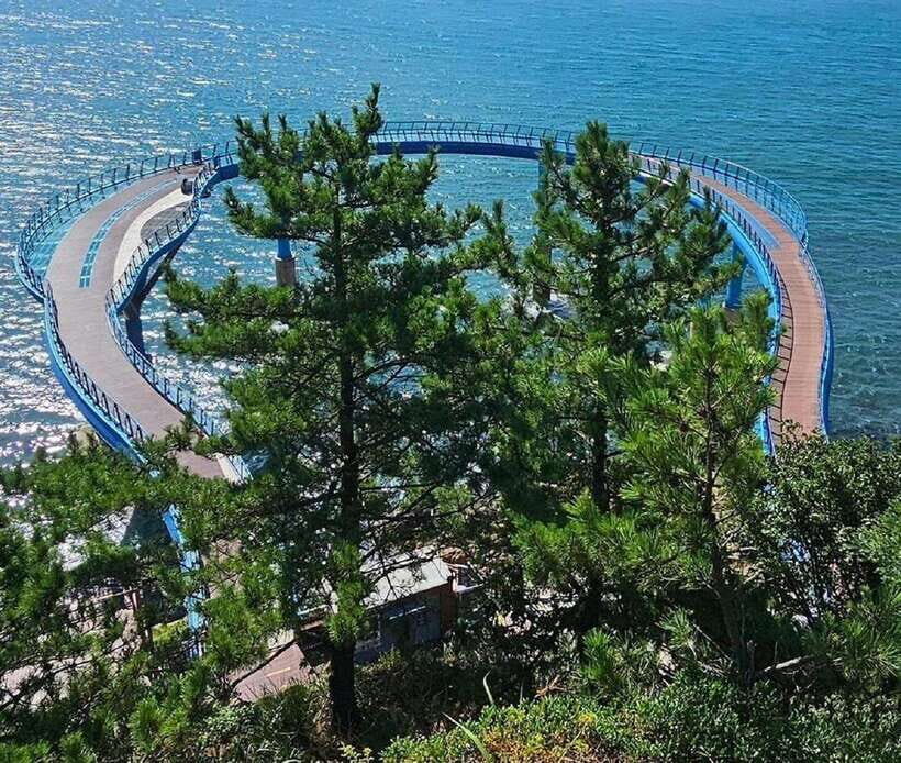 Private Minibus Tour in Busan for Cruise Guests 8-17 People - Is This Tour Worth It?