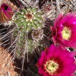 Private Montezuma Castle - Tuzigoot National Mont. in Luxury Car - What Makes This Tour Stand Out?