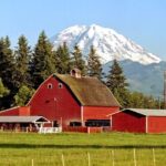 Private Mt Rainier National Park Day Trip from Seattle - FAQ