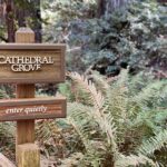 Private Muir Woods Tour Via Luxury Tesla - Who Should Consider This Tour?