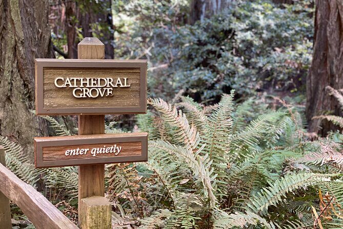 Private Muir Woods Tour Via Luxury Tesla - Who Should Consider This Tour?