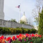 Private Multilingual DC City Tour (Spanish, Portuguese, English) - FAQ: Your Practical Questions Answered