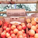 Private Multnomah Falls, Train Ride, & Wine Tour - Who Will Love This Tour?