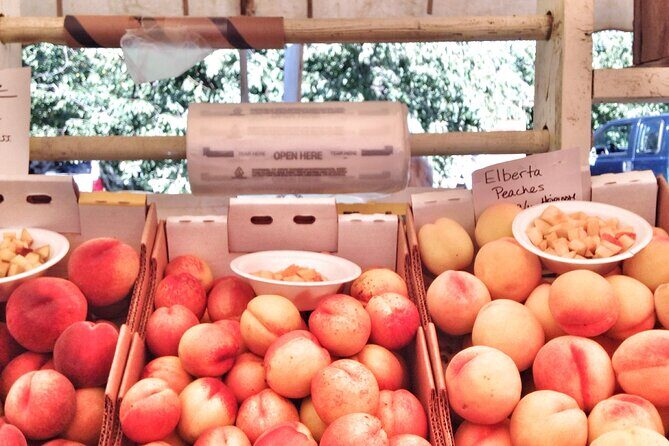 Private Multnomah Falls, Train Ride, & Wine Tour - Who Will Love This Tour?