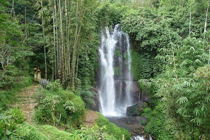 Private Munduk Waterfalls Trekking Tour - Who Should Consider This Tour?