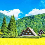 Private Nagoya & Shirakawa-go w/ English Driver - Who Will Love This Tour?
