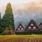 Private Nagoya Tour with Expert English Guide & Hotel Pickup - Who Will Love This Tour?