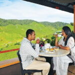 Private Nature Trip to Cameron Highlands from Kuala Lumpur - Who Will Love This Tour?