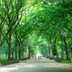Private New York City Walking Tour: Central Park History and Hidden Secrets - A Deep Dive into the Central Park Experience