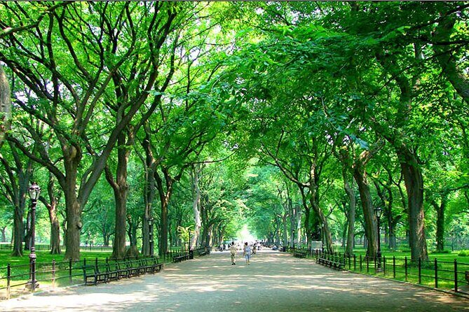 Private New York City Walking Tour: Central Park History and Hidden Secrets - A Deep Dive into the Central Park Experience