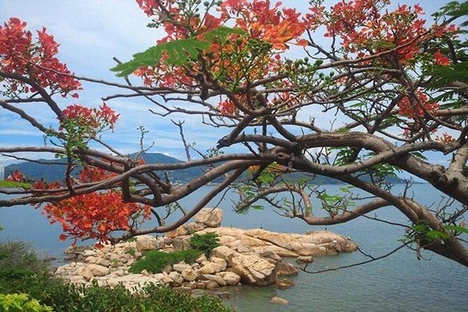 Private Nha Trang city excursion (half day program) - FAQs