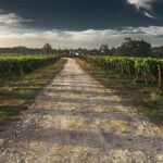 Private Niagara Falls-Niagara-on-the-Lake Day Trip and Winery Tour from Toronto - Why Travelers Love This Tour