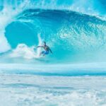 Private North Shore of Oahu Tour - Final Thoughts