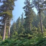 Private Northern Oregon Coast Tour - Who Would Enjoy This Tour?