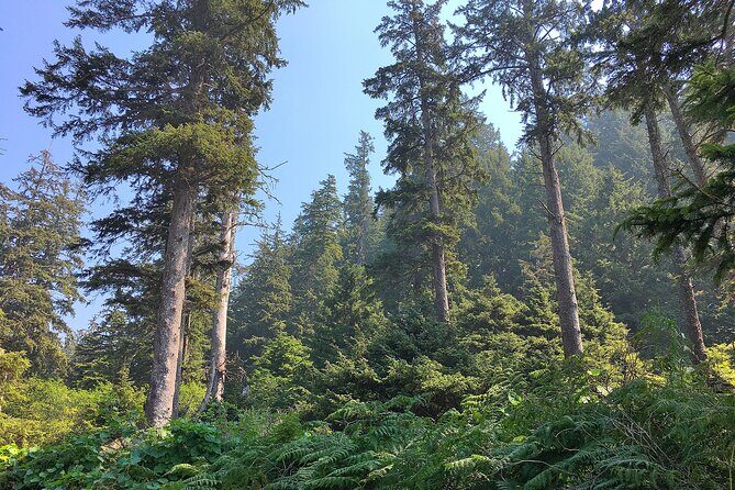 Private Northern Oregon Coast Tour - Who Would Enjoy This Tour?