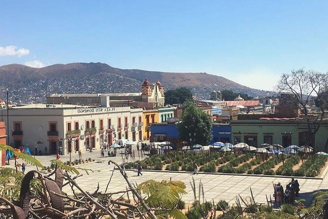 Private Oaxaca Walking Tour with Mezcal Tasting - Final Thoughts