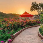 Private Old and New Delhi Private Full or Half-Day Tour - FAQ