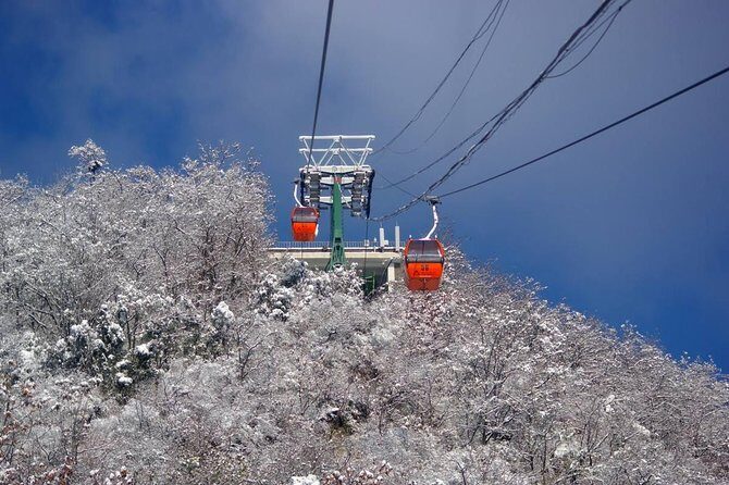 Private One Way Tianjin Port Transfer to Beijing including Great Wall Sightseeing - Who Will Benefit Most From This Tour?